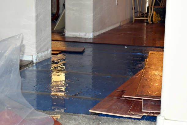 Professional Water Damage Restoration technician working in Lolita, TX
